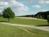 14-028a.jpg