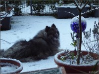 Foto-0002.jpg