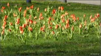 Foto-0007.jpg