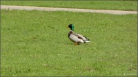 Foto-0008.jpg