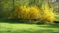 Foto-0009.jpg