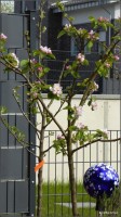 Foto-0011.jpg