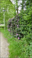 Foto-0024.jpg