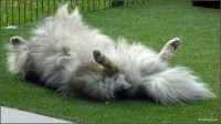Foto-0043.jpg