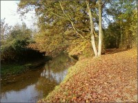 Foto-0107.jpg