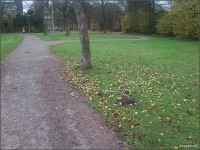 Foto-0114.jpg